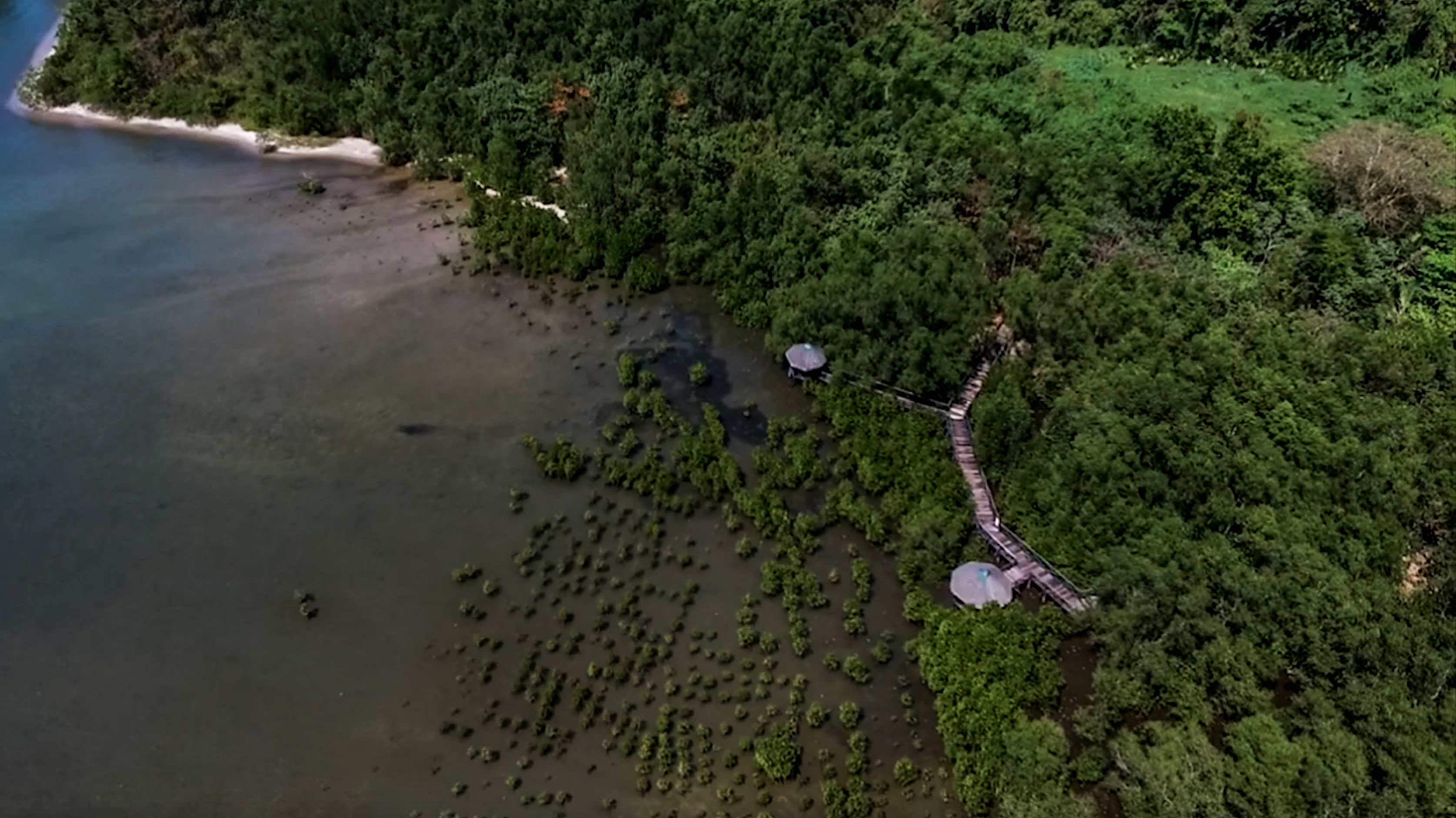 high drone shot of triboa bay mangrove park in subic zambales philippines